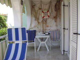 Apartment Vesna Vabriga - Vabriga - 0