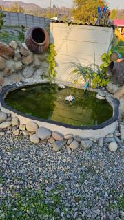 Hostal Arriendo Mi Quincho - 6