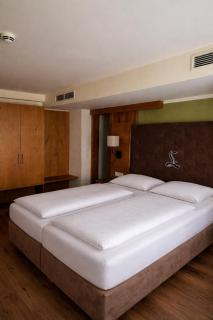 Hotel Lebzelter Straßwalchen, Familien und Business Aufenthalt, Seengebiet, Erlebnispark - 9