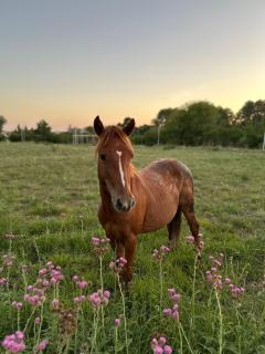 Casaquinta overlooking the golf course - 2