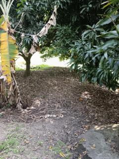 The perfect spot to escape the heat - 1