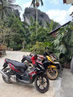 Wood Haven Homestay - 8