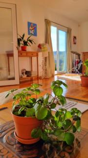 Casa Yenú - Tandil - 7