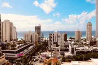 Deluxe Chevron Renaissance - 6