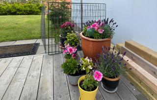 2 Bedroom Nice Home In Kungshamn - 1