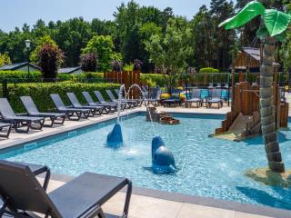 Beautiful chalet with airco, in a holiday park - 1