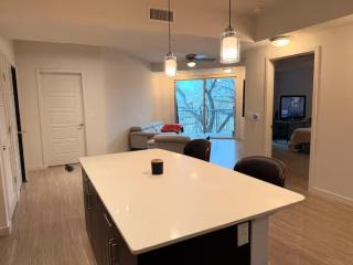 Spacious Room With Private Bathroom on Rainey St next to Lady Bird Lake - 6