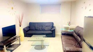 New 2 Bedroom Basement suite with private entrance - 9