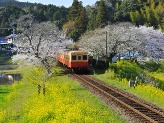 Ichihara Marine Hotel - Vacation STAY 01289v - 4