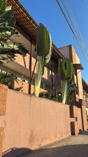 Sol, mar, equilíbrio perfeito praia do frances! - 9