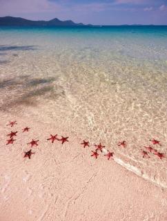 Crystal Apartment Hillside Phu Quoc - Sunset Town & Firework - 6