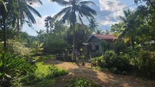 Palm Leaf Hideout Quezon - 1