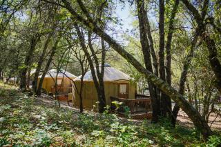 Lake of the Springs Camping Resort Yurt 6 - Oregon House - 9