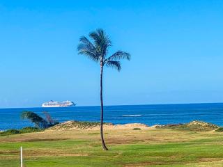 Kauhale Makai #330 Oceanfront, Pool, Hot tub, A/C, Wi-Fi, Stunning Sunsets - 6