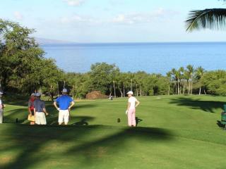 Kihei Kai Nani #4-221 Across Kamaole Beach II, Pool, Great Rates, A/C - 5