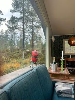 Design Cabin By Mountain Lake In Rukkedalen - 1