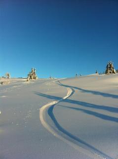 High Mountain Cabin At Tree Line Near Eggedal - 7