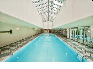 Stylish Yaletown Condo with Full Amenities- Walk to BC Place, Canada Place & Skytrain - Free Parking - 7