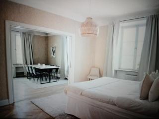 Modern apartment central city of Stockholm - 5