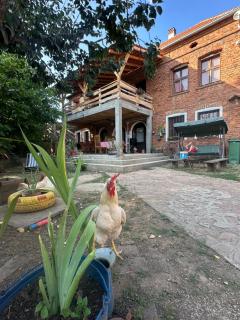 Seosko domaćinstvo Kod Fraćeta - 5