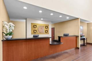 Comfort Suites San Antonio North - Stone Oak - 5