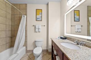 Comfort Suites San Antonio North - Stone Oak - 3