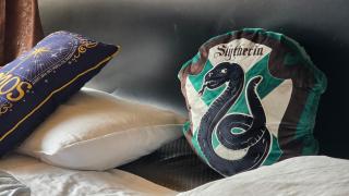 Hotter Potter Stays Manali - 2