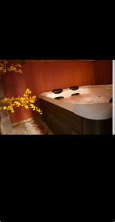 Ranch Horse Paradise - 8