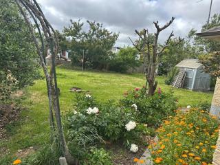 Peaceful 2BR Escape Walk to Bus Family Friendly - 3