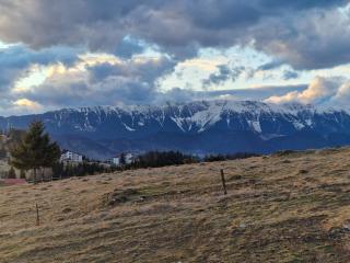 AA Frame Retreat Fundata - 8