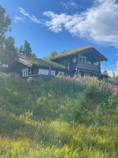 Idyllisk fjellhytte - 0