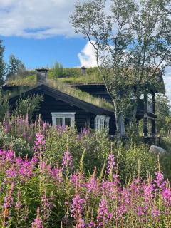 Idyllisk fjellhytte - 7