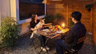 gyeongju planb pet pension - 7