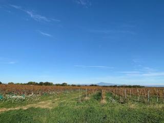 Villa Provençale Avec Piscine Proche D'avignon - 8