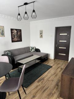 Modern 3BR apartment Near Nicolae Romanescu Park - 9