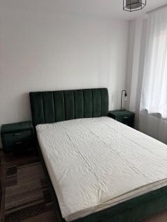 Modern 3BR apartment Near Nicolae Romanescu Park - 5