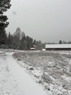 Bredmossen Forest Cabin - 2