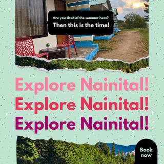 Nest bird cottage - 9