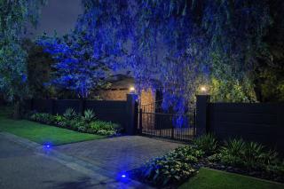 The Gilded Swan 2 Signature Suite - 2