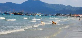 Hương Biển Homestay - Dốc Lết - 6