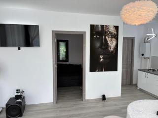 Black Swan Lakehouse - 4