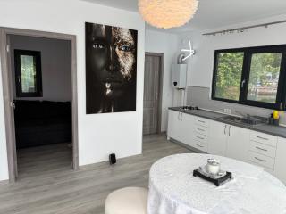 Black Swan Lakehouse - 3