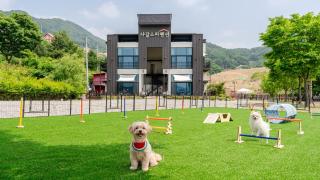 Gapyeong Chagall Spa pension - 4