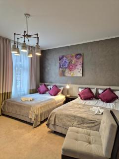 Hirscher Loft - 9