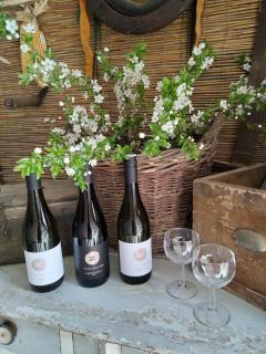 Ubytování U Trati - 6