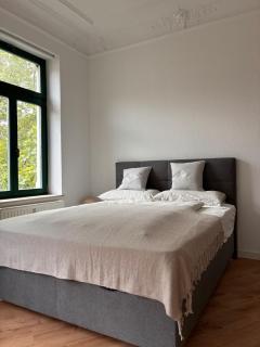 Neues Apartment in Südvorstadt - 7