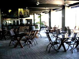 Daintree Wild Bed & Breakfast - Daintree - 7