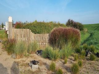 Holiday home with whirlpool and sauna in a quiet area in Zeeland - 2