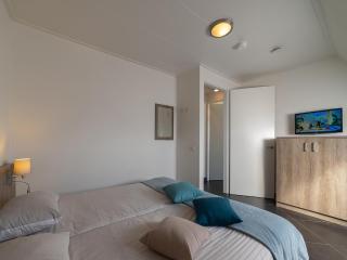 Holiday home with whirlpool and sauna in a quiet area in Zeeland - 1