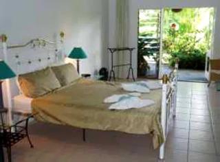 Daintree Wild Bed & Breakfast - Daintree - 2